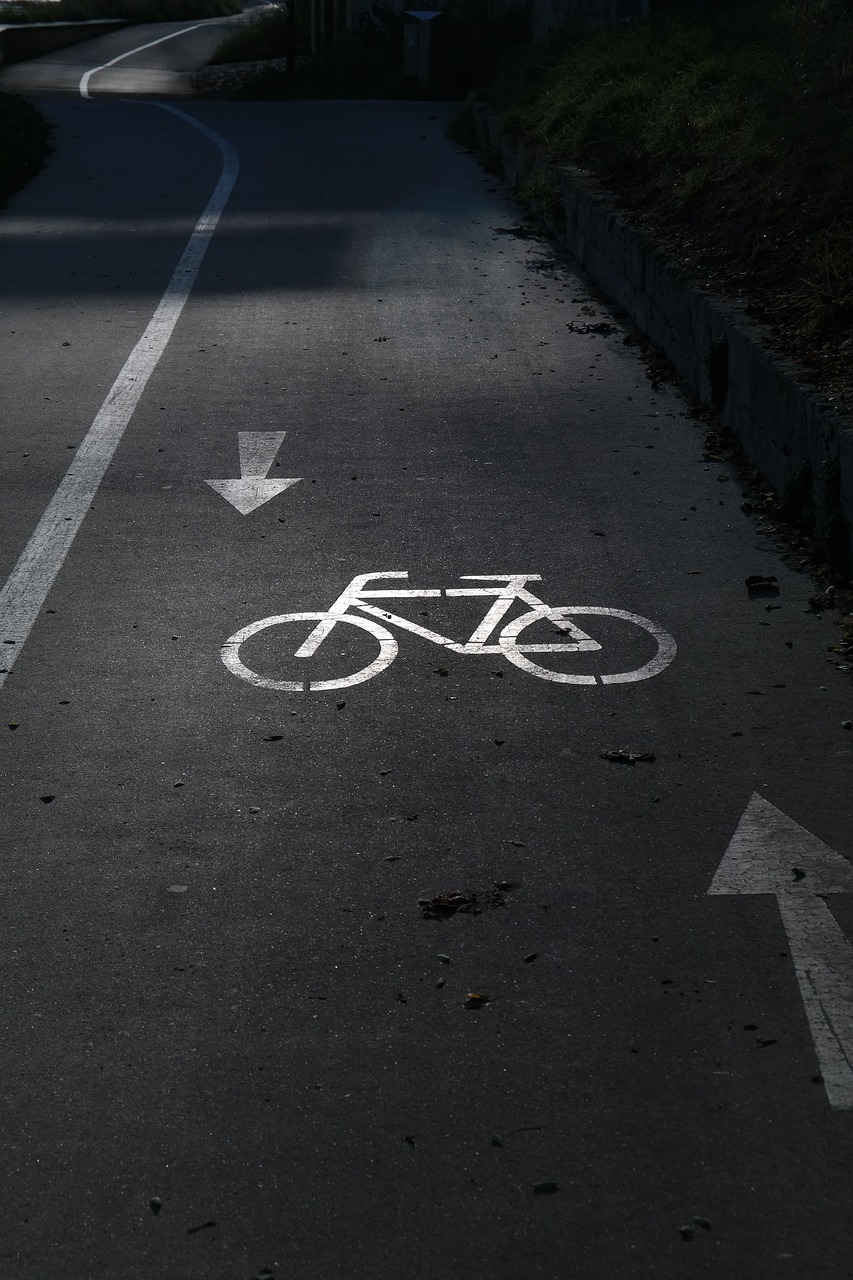 bike-path-228125_1280
